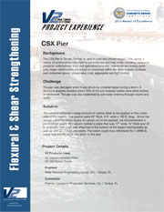 CSX Project Profile PDF